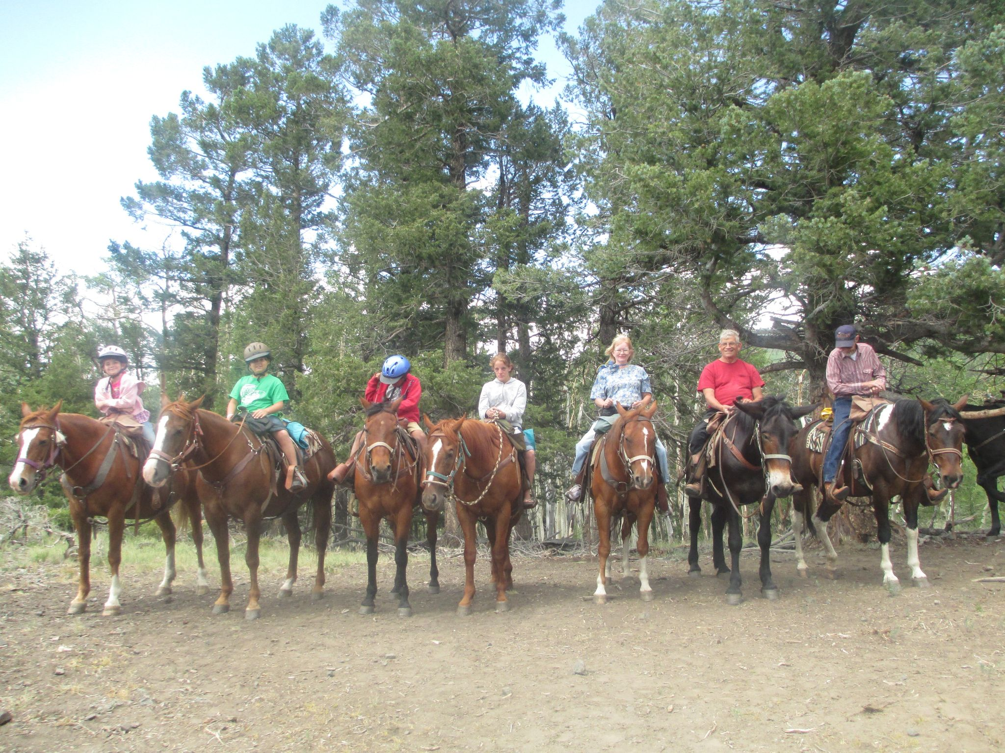 Salida - Family Travel Host